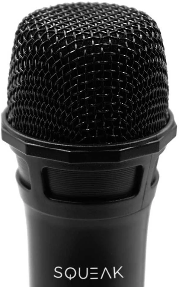 Squeak KARAOKE MICROPHONES SET VOCALDUO 2,4G SQ1007