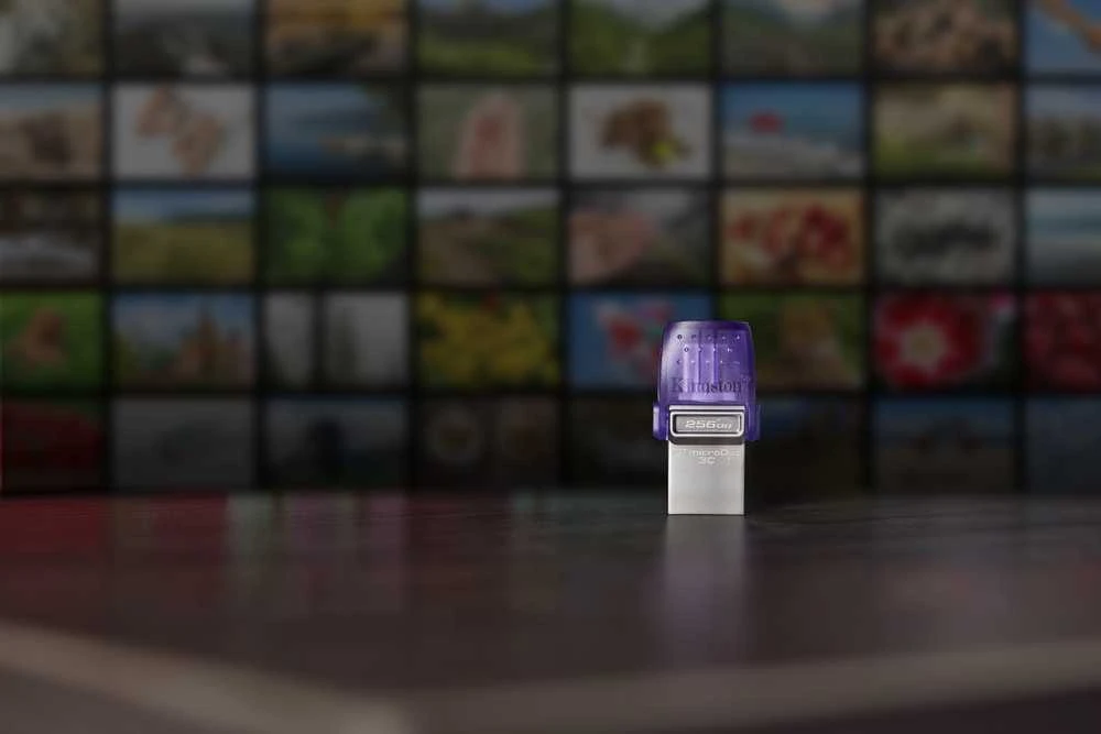USB laikmena Kingston DataTraveler microDuo 3C, 256 GB, USB Type-A / USB Type-C
