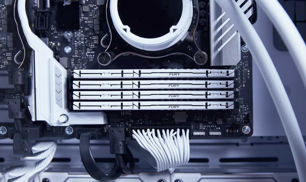 RAM Kingston KF556C40BW-16 16GB 5600MT/s DDR5 CL40 DIMM FURY Beast Baltas XMP | Kingstonas