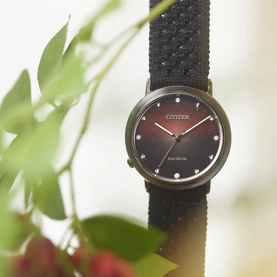 Laikrodis Damski Citizen EM1007-47E