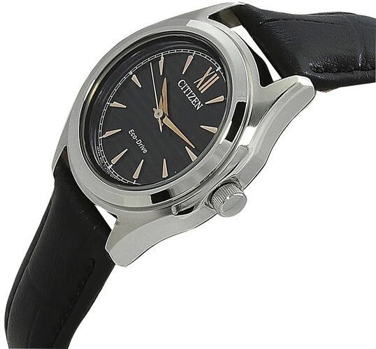 Laikrodis Citizen Eco-Drive FE2110-14E