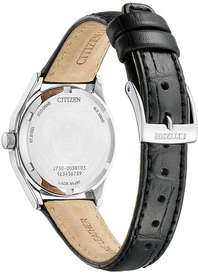 Laikrodis Citizen Eco-Drive FE2110-14E