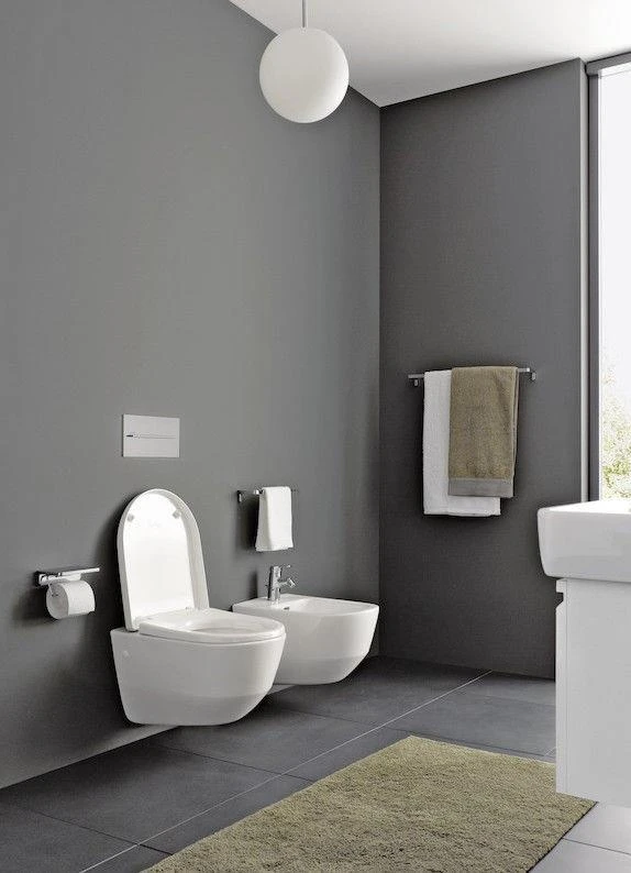 Pakabinama bidė Laufen Pro 830952