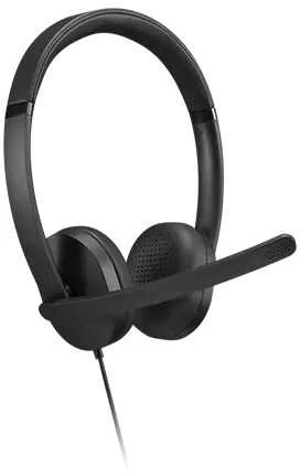 Lenovo Ausinės | USB-A Stereo Gen 2 | Su mikrofonu | su laidu | Juodas