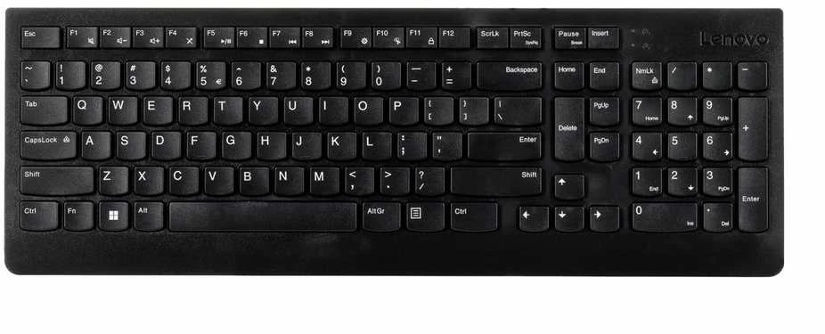 Lenovo | Essential | Essential Klaviatūra su laidu - US Euro | Standard | su laidu | US | 1.8 m | Juodas | su laidu | 570 g
