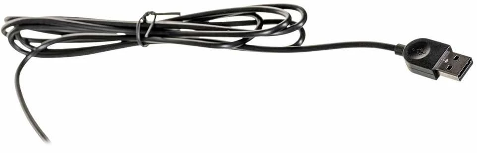 Lenovo | Essential | Essential Klaviatūra su laidu - US Euro | Standard | su laidu | US | 1.8 m | Juodas | su laidu | 570 g