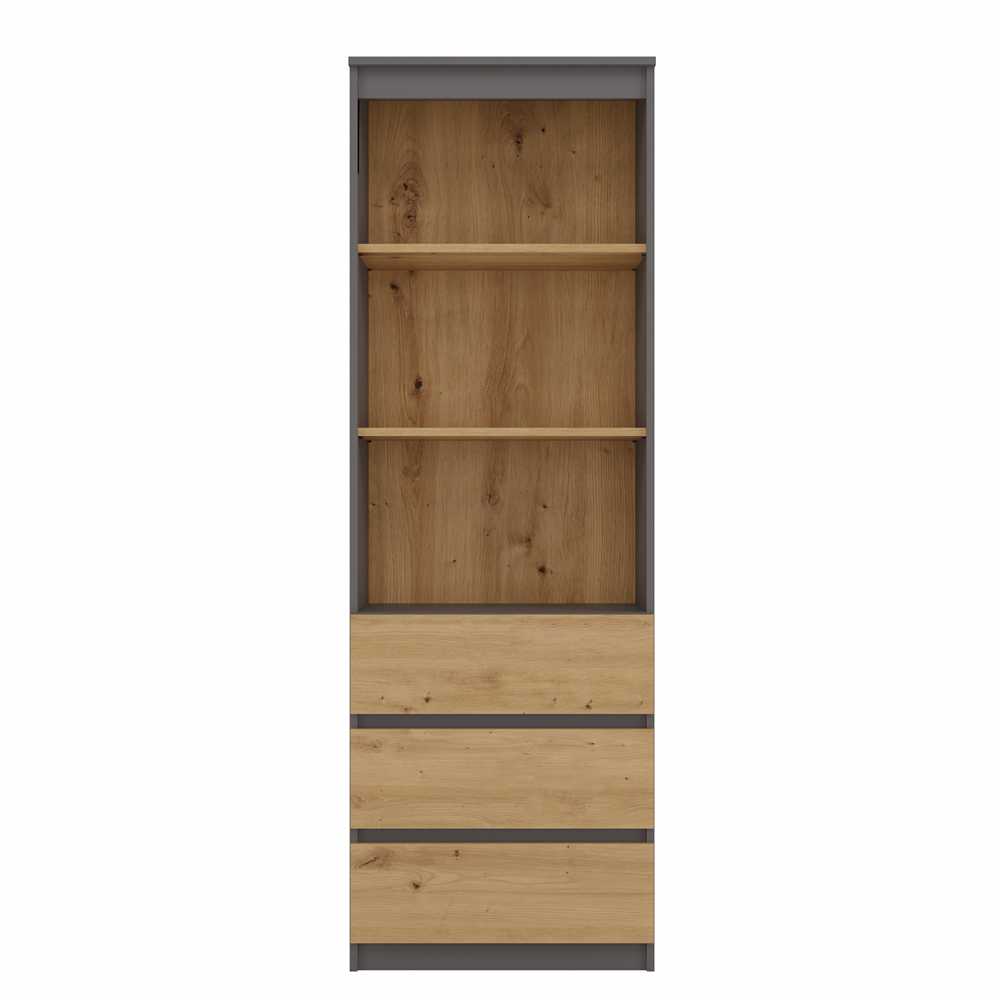 Top E Shop Topeshop RS-60 ANT/ART KPL office bookcase