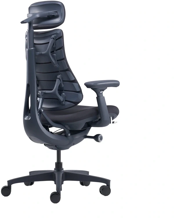 LiberNovo Omni 48 cm ergonominė kėdė (juoda)