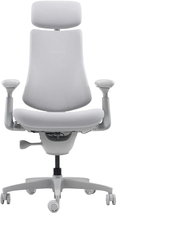 LiberNovo Omni 45 cm Ergonomic Chair (Gray)