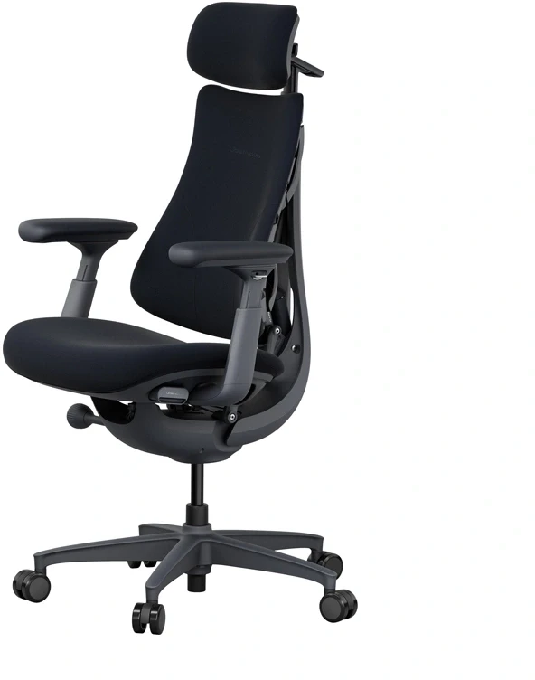LiberNovo Omni 45 cm Ergonomic Chair (Juodas)