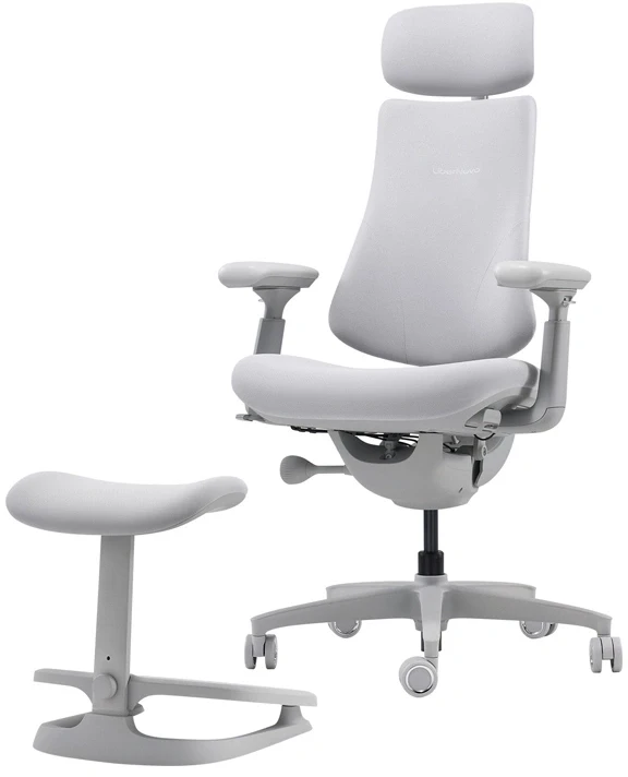 LiberNovo Omni 45 cm Ergonomic Chair (Gray)
