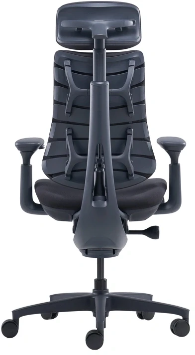 LiberNovo Omni 45 cm Ergonomic Chair (Juodas)