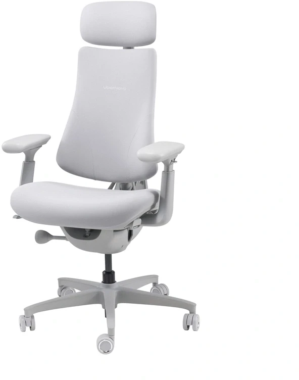 LiberNovo Omni 45 cm Ergonomic Chair (Gray)