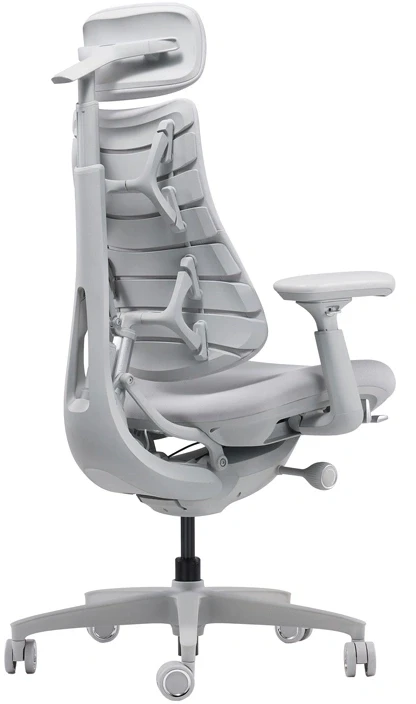 LiberNovo Omni 45 cm Ergonomic Chair (Gray)