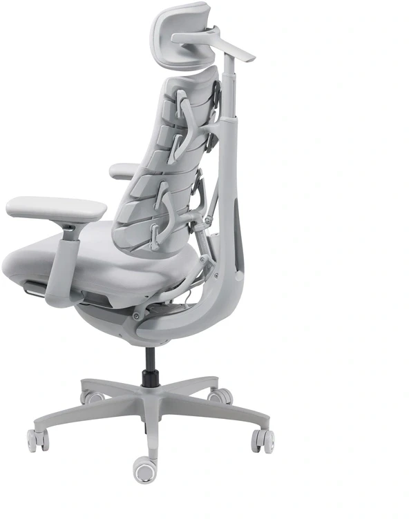 LiberNovo Omni 45 cm Ergonomic Chair (Gray)
