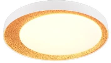 Lubinis šviestuvas „Reality“. LED. 24 W. 2700–6500 K. 2500 lm. Ø45