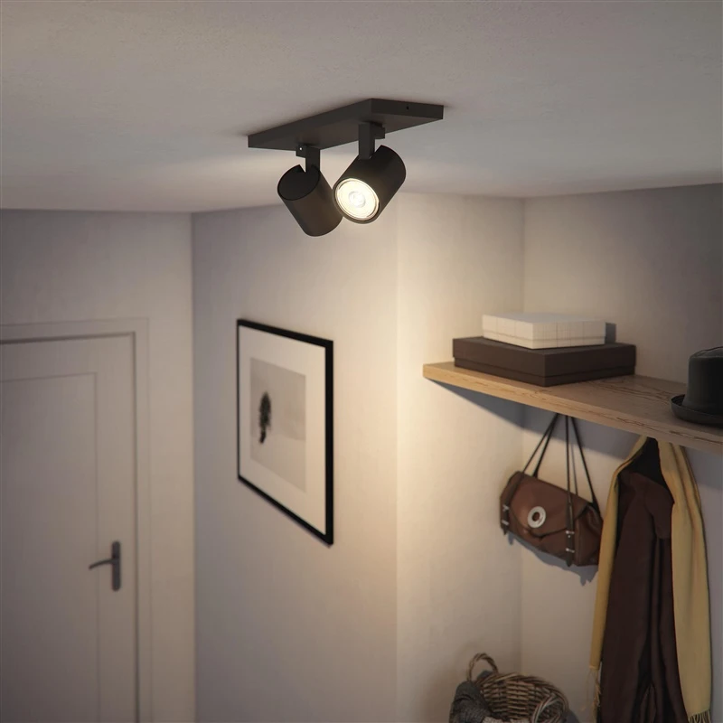Lubinis šviestuvas Šviestuvas Philips RUNNER, nukreipiamasis, 2×20 W