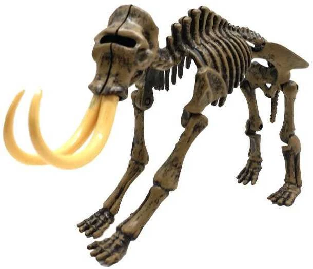 Jokomisiada Mamuto skeleto 3D kasinėjimai Set