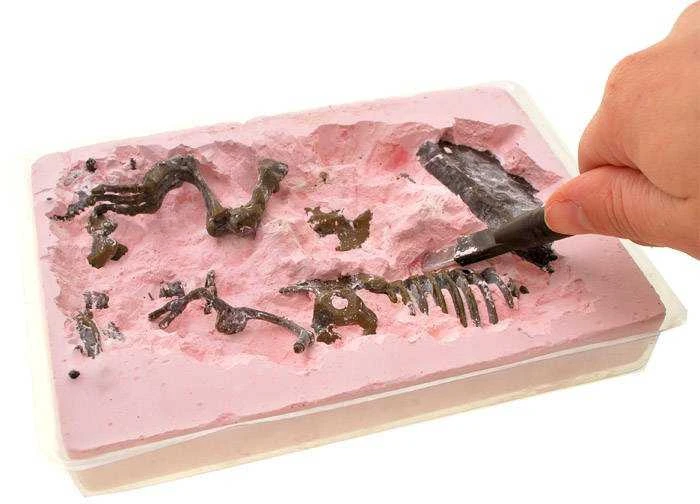 Jokomisiada Mamuto skeleto 3D kasinėjimai Set