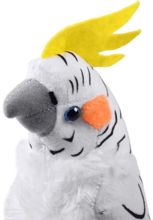 Beppe Talismanas papūgos balta nimfa 17cm