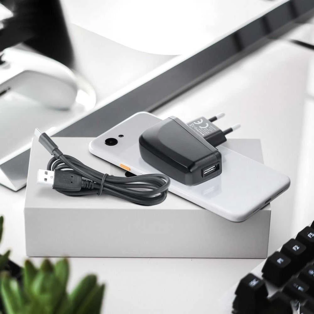 BlueStar Įkroviklis Blue Star (TFK-TC-1095B) + laidas "USB-C (Type-C)" 2A (10W) juodas