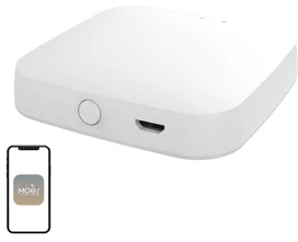 Moes Išmanių namų Bluetooth - Wi-Fi signalo stotelė, BRIDGE, MESH, TUYA / Smart Life