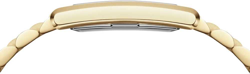 Moteriškas laikrodis DANIEL WELLINGTON 24mm Bound 3-Link DW00100703 + BOX