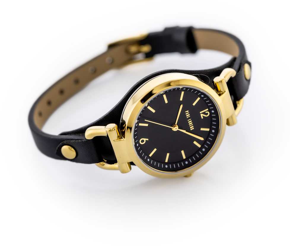 Laikrodis PAUL LORENS WOMEN'S WATCH - PL3652A-1A2 (zg557b) + BOX