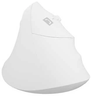 NATEC Crake 2 pelė Universal dešinei rankai RF belaidė + Bluetooth Optinė 2400 DPI