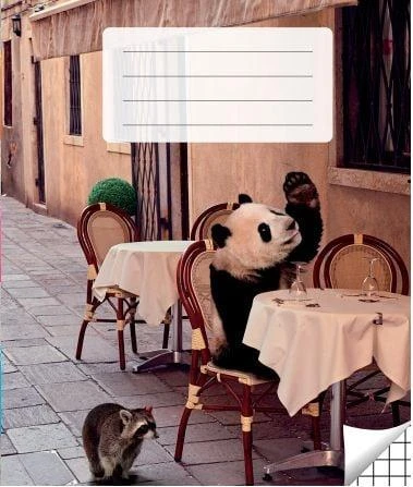 Victor Stationery Ou Sąsiuvinis langeliais, 36 lapai. Vidinių lapų gramatūra – 90 g/m2.