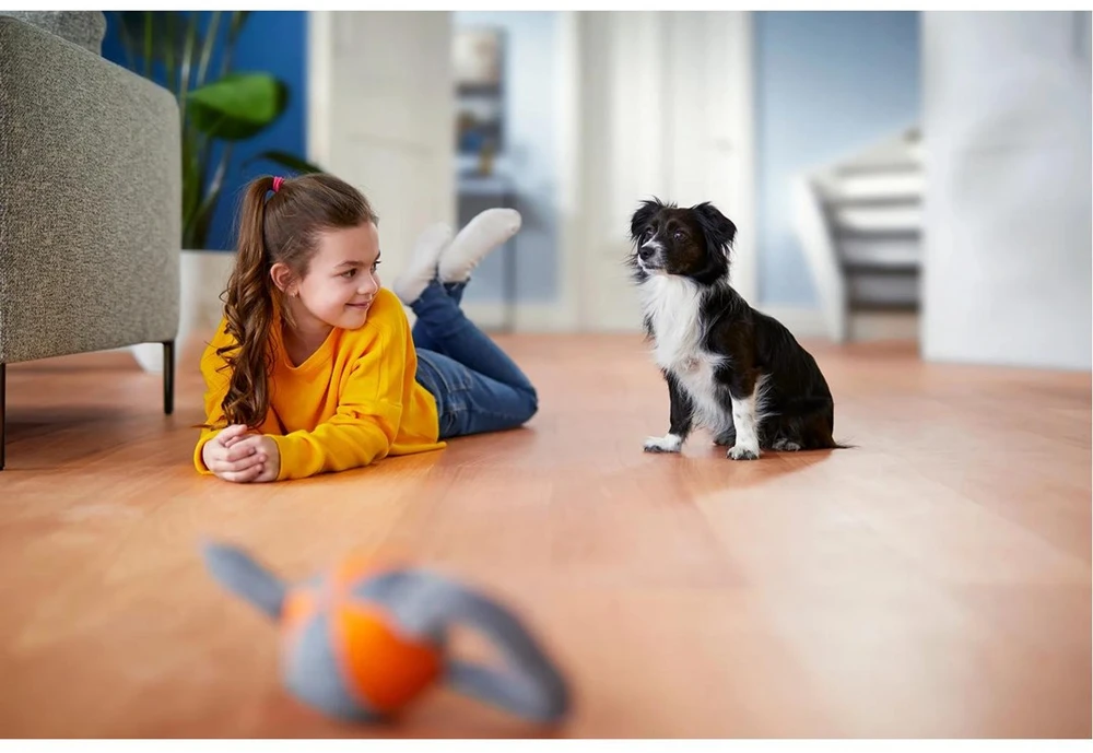 Dulkių siurblys Philips PowerPro Expert FC9745/09 vakuuminis 2 l cilindrinis siurblys, sausas 900 W be maišelio