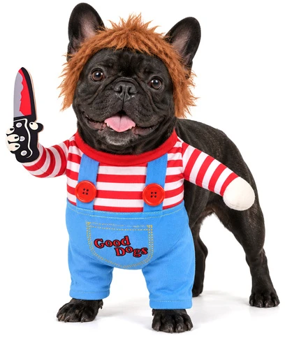 Dog costume - Halloween dydis M Purlov