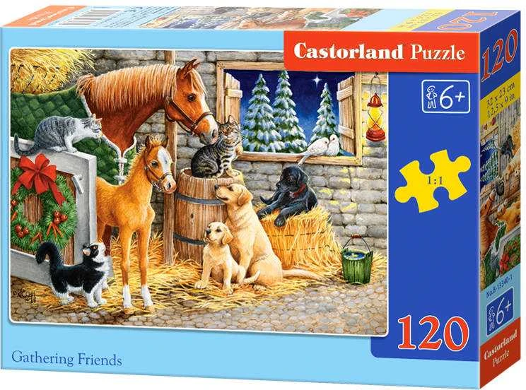Castorland Dėlionė 120 vnt. - Draugų susibūrimas