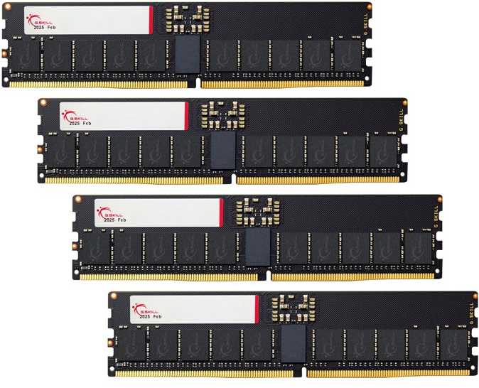 RAM G.Skill T5 Neo F5-6400R3644E64GQ4-T5N memory module 256 GB 4 x 64 GB DDR5 6400 MT/s ECC