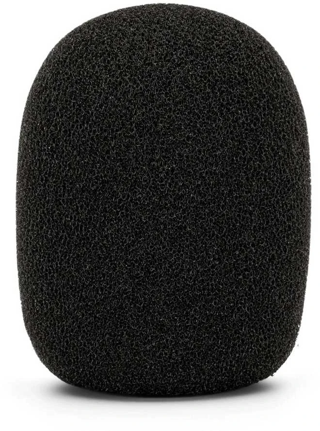 Rode WS2 windshield