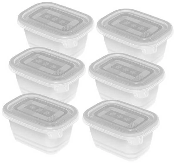 ROTHO Freeze - šaldiklis container - 6x250ml