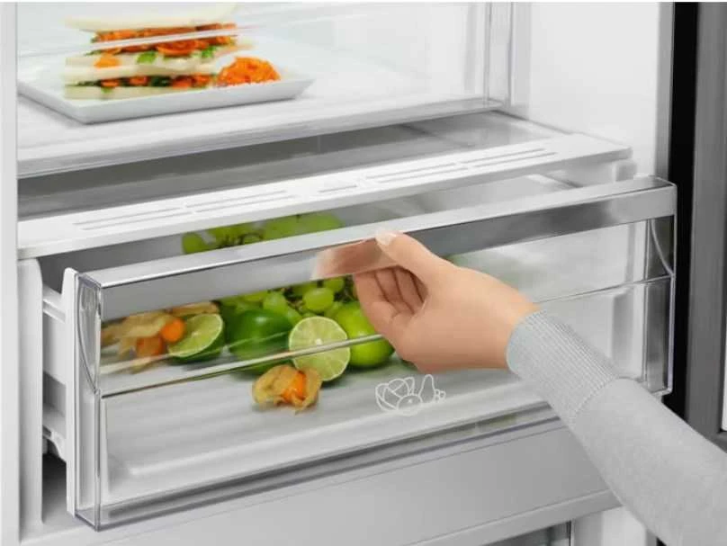 Šaldytuvas Electrolux LNT7ME36K2
