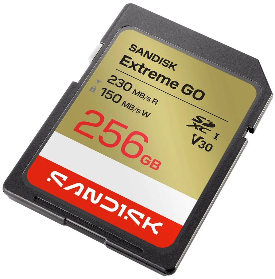 Atminties kortelė SanDisk Extreme GO 256 GB SDXC UHS-I