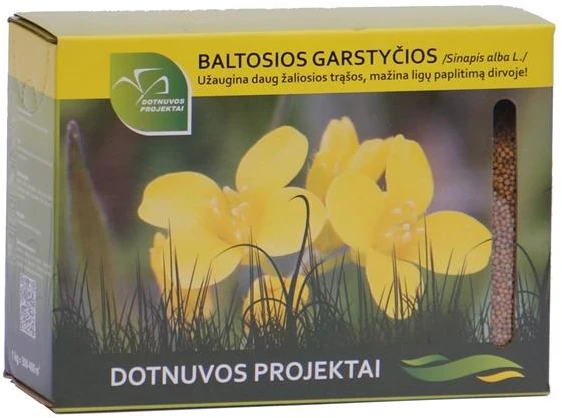 Nežinomas Garstyčių BRACO sėklos, 1kg