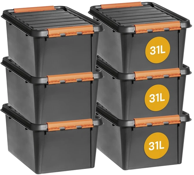 SMARTSTORE Dėžė sandėliavimo Pro 31l