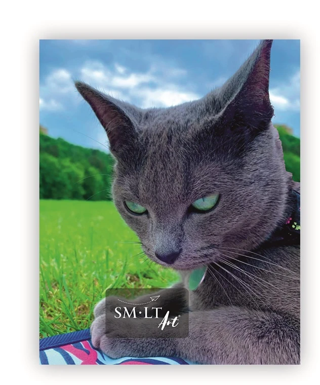 Smlt Art Aplankas sąsiuviniams SMLT, su guma, A5, kartoninis, spalvotas 0821-101