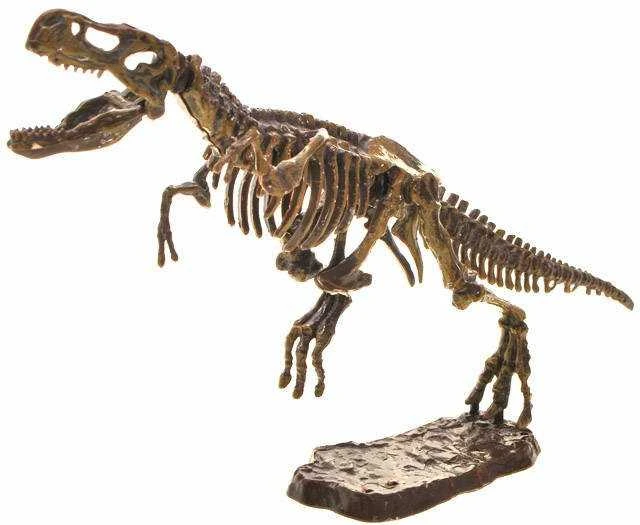 Jokomisiada 3D dinozauro skeleto rinkinys