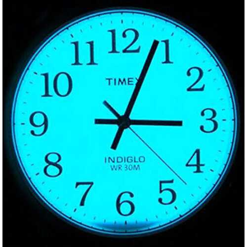 TIMEX Easy Reader 38 mm vyriškas laikrodis T20501 + dėžutė