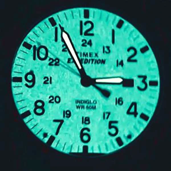TIMEX Expedition Scout vyriškas laikrodis TW4B30200 (zt106p) + dėžutė