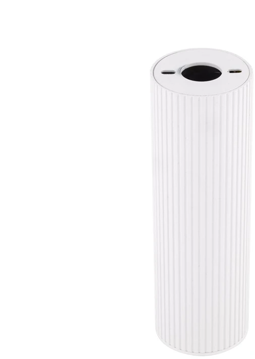 Lubinis šviestuvas Tk_Lighting Šviestuvas lubų TK Lighting Tune 10025, GU10, baltas