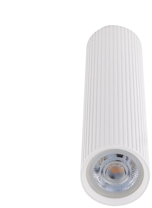 Lubinis šviestuvas Tk_Lighting Šviestuvas lubų TK Lighting Tune 10027, GU10, baltas