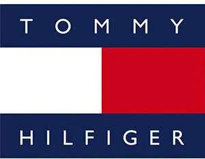 LAIKRODIS VYRAMS TOMMY HILFIGER DANIEL (zf032a)