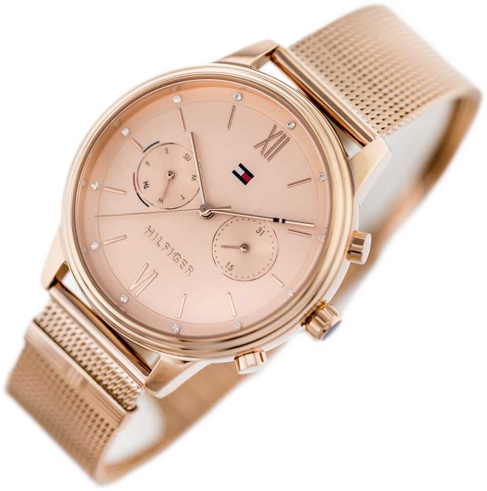 MOTERIŠKAS LAIKRODIS TOMMY HILFIGER BLAKE (zf515d)
