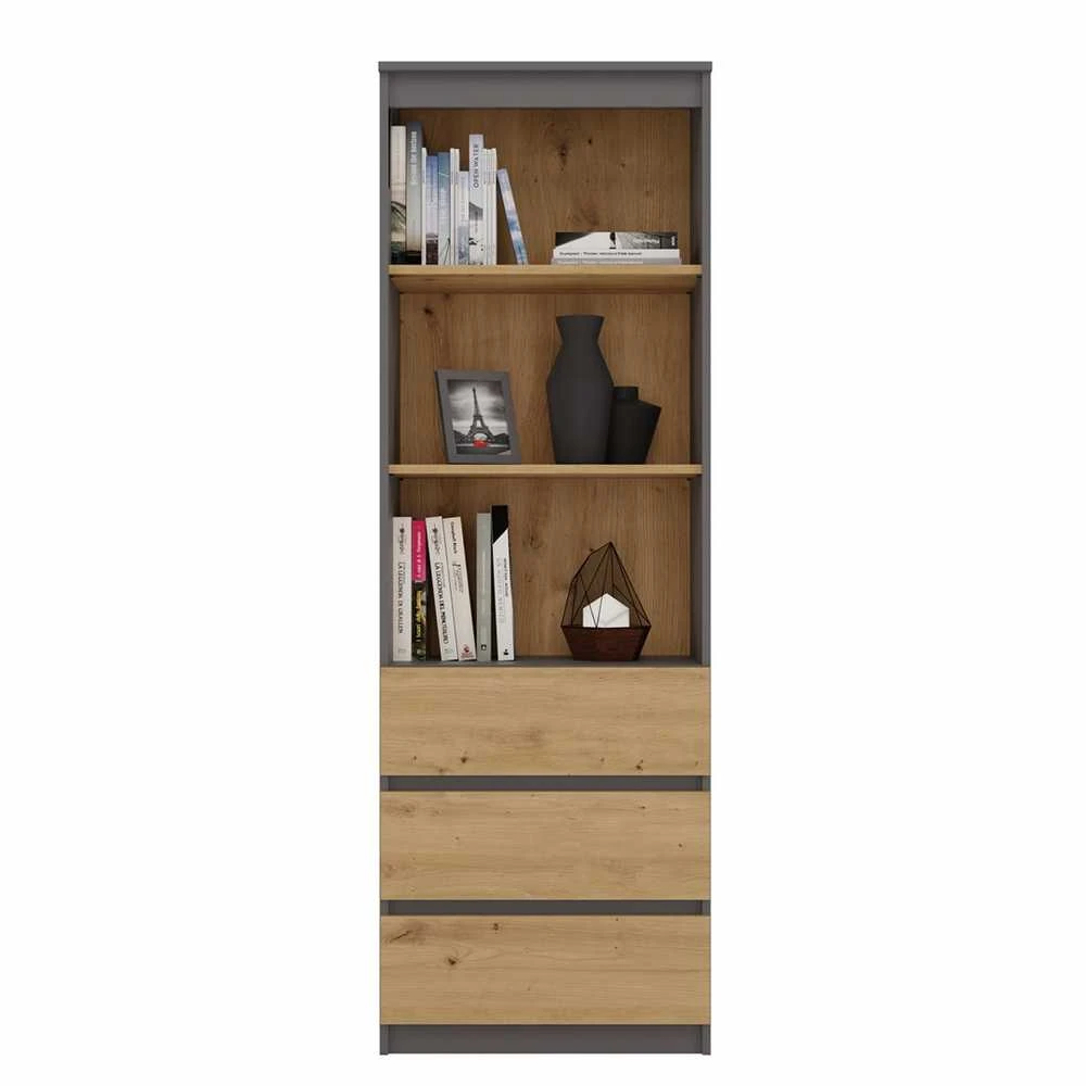 „Top E Shop“ „Topeshop RS-60 ANT/ART KPL“ biuro knygų lentyna