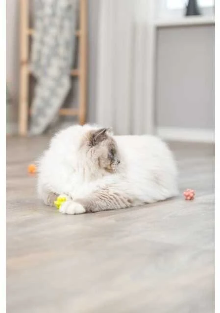 TRIXIE Kamuoliukų su iškilimais rinkinys, guma 3.5 cm, 4 vnt.